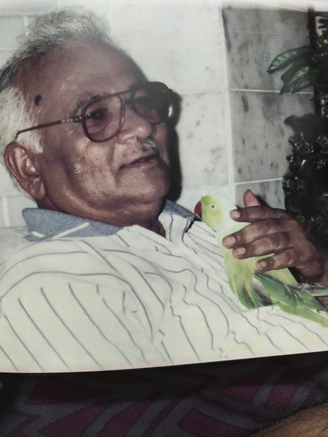 Old frame photograph 17